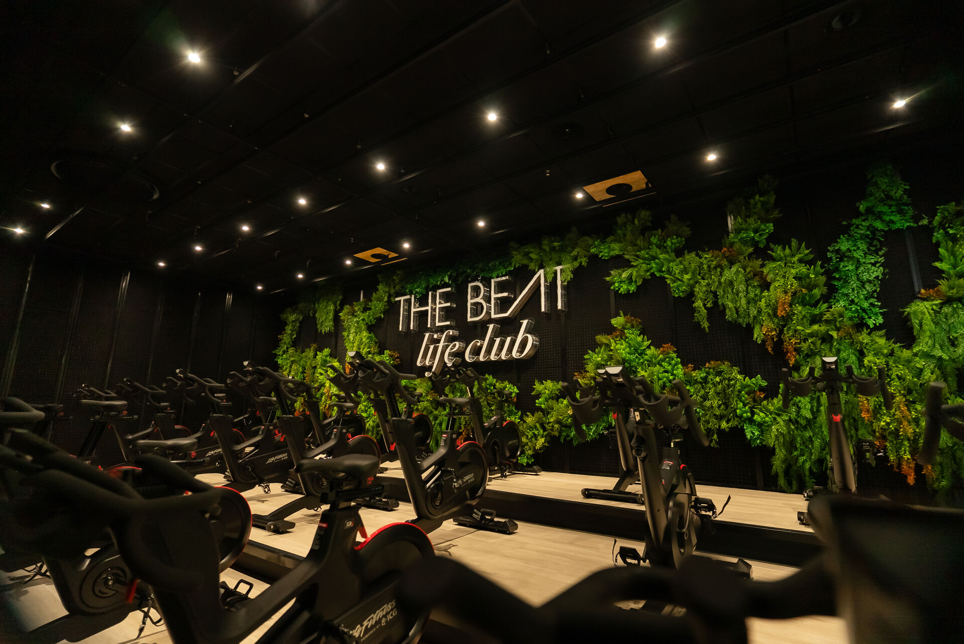 Studio Spin